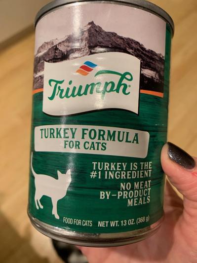 Triumph cat hotsell food reviews