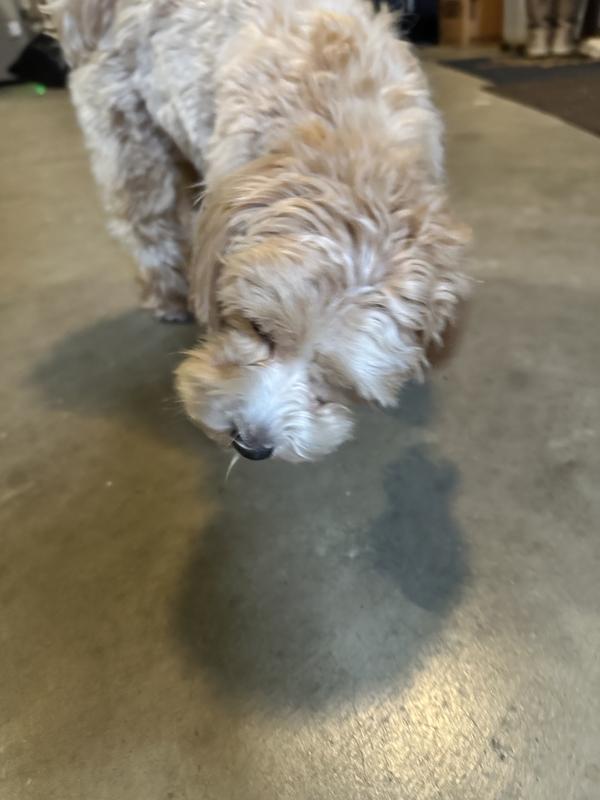 Sandi enjoying a treat