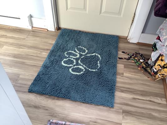 Shoppers Swear by the Dog Gone Smart Dirty Dog Doormat