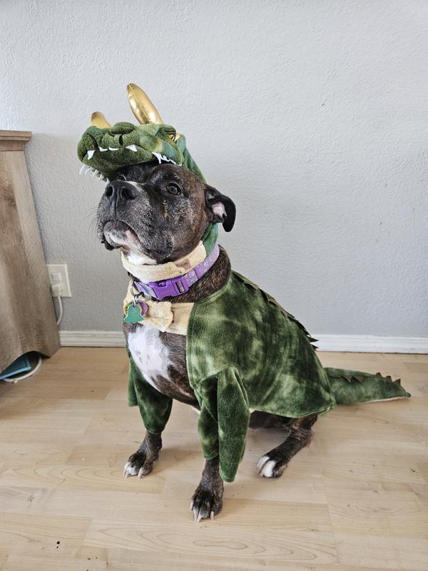 MARVEL s Loki Alligator Dog Cat Costume Small Chewy