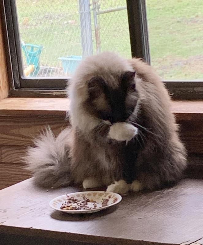 Spirit bathing after a good meal