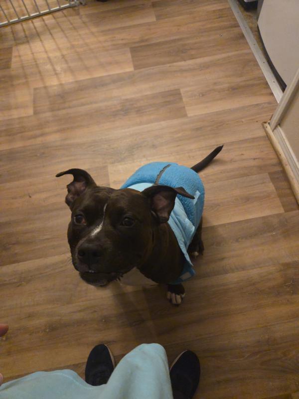 This doja in her old jacket def can't fit in now