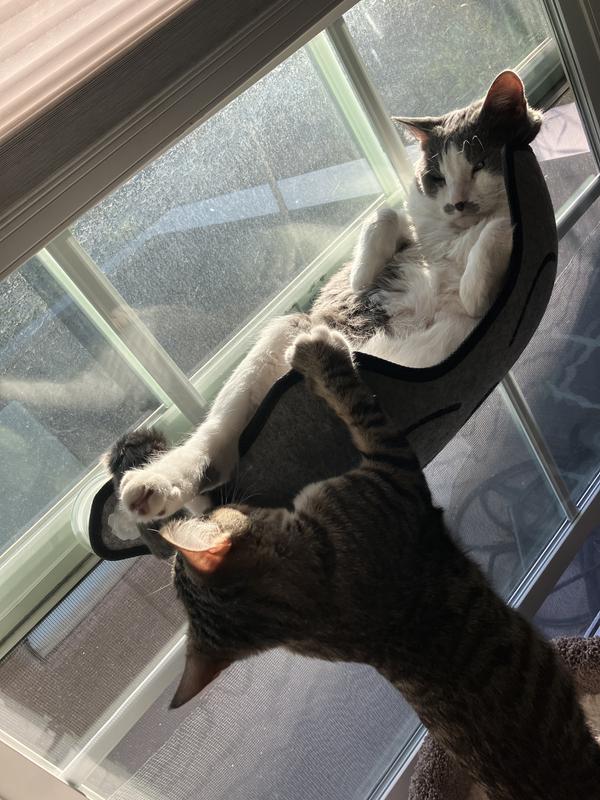 Even with my other cat jumping and hanging off it, this perch stays put.