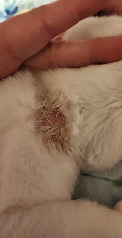 Warning wound.