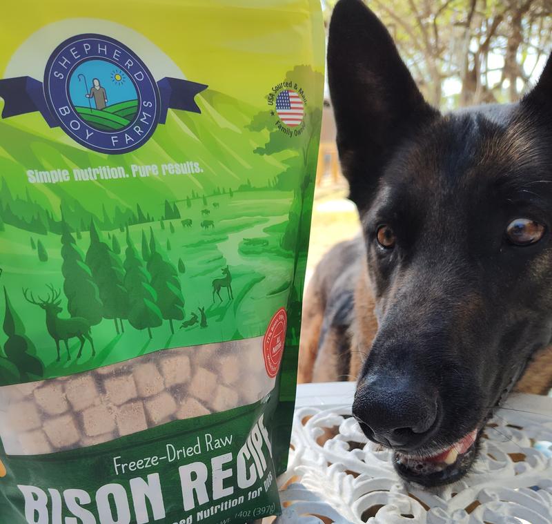 Whiskey checking out his Shepherd Boy Farms bag!