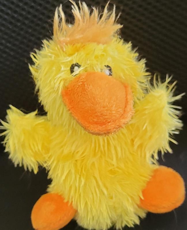 Kong duck hotsell dog toy