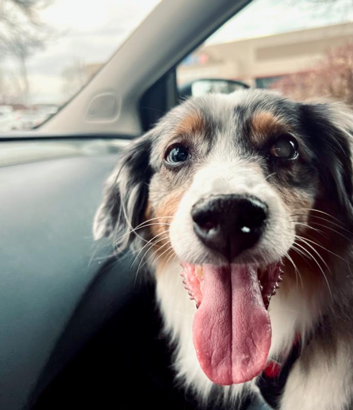 Excited for treats!