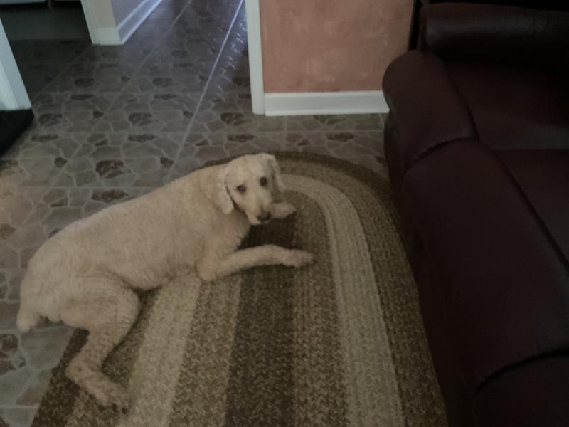 Do I have to look…I am busy chewing this yummy treat