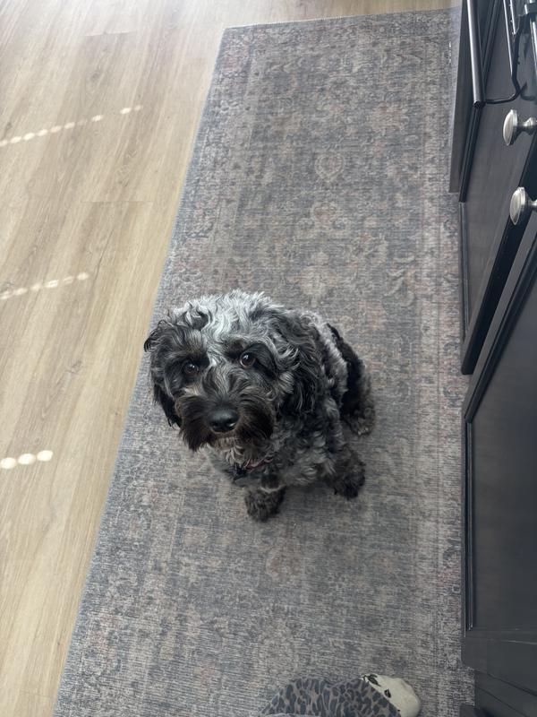 Her when I am making the pupsicles