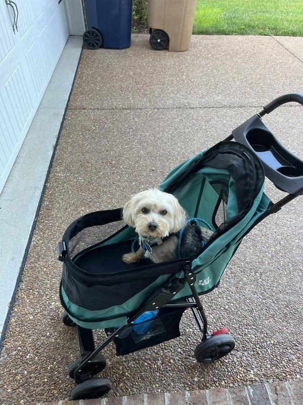 PET GEAR Happy Trails Lite No-Zip Pet Stroller, Pine Green - Chewy.com