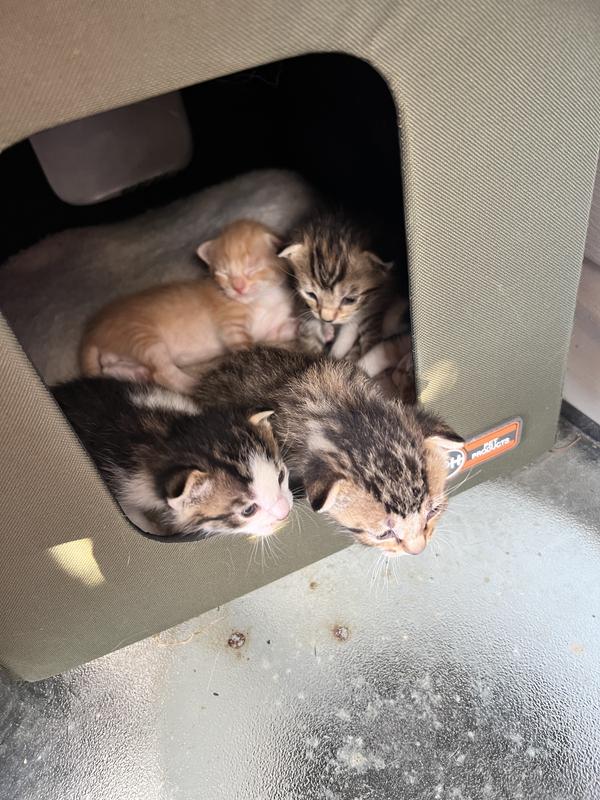 Outside in the heated house