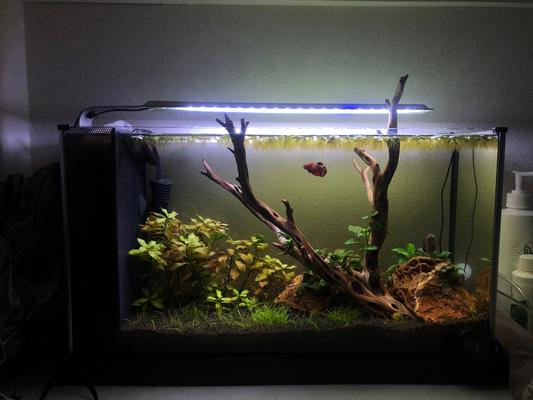 The filter floss is on the top left corner