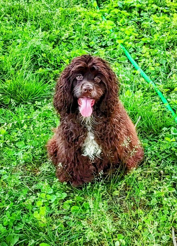 Happy and relieved !