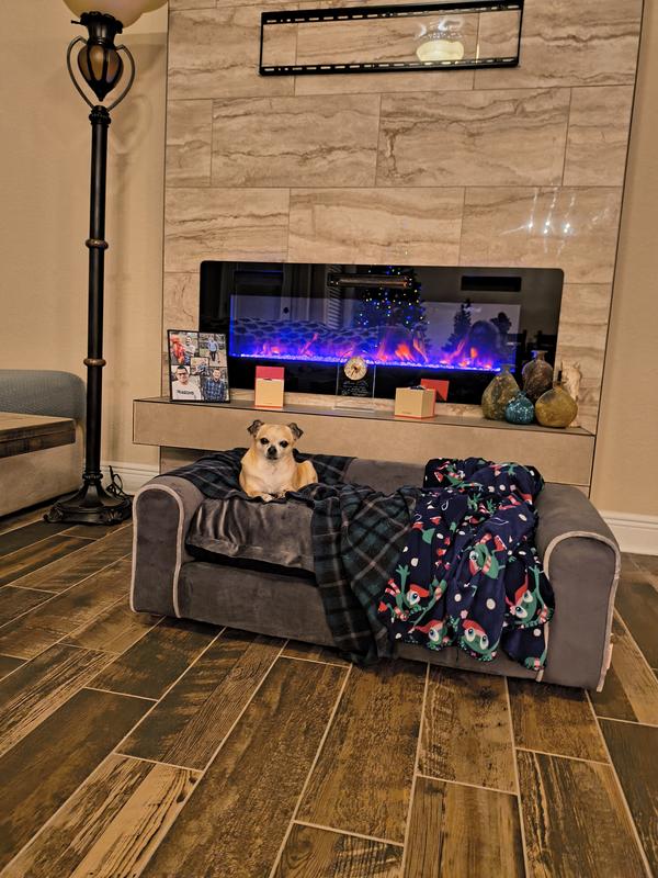 Living like a queen!