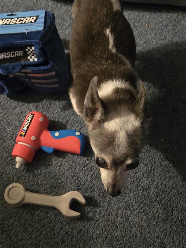 Checking out my tools for work!