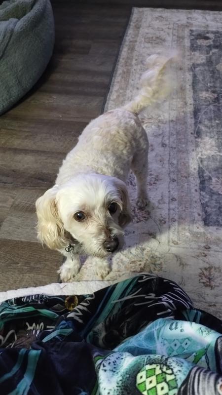 My 13 year old baby!