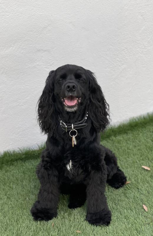 Hope happy and healthy!