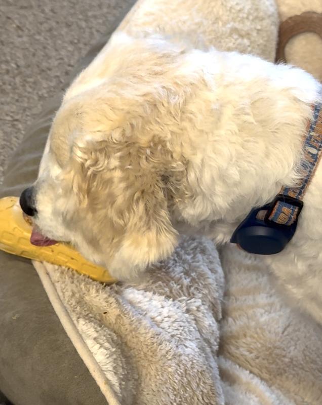 You can't even make out his face, he's so focused.