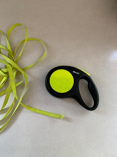 FLEXI Neon Nylon Tape Reflective Retractable Dog Leash, Medium: 16-ft long  