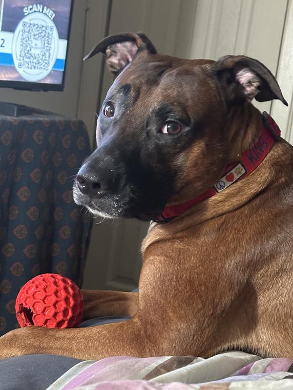 Momma Can We Play Catch Please?