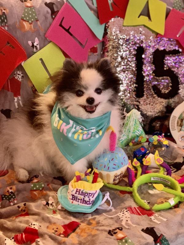 Birthday boy