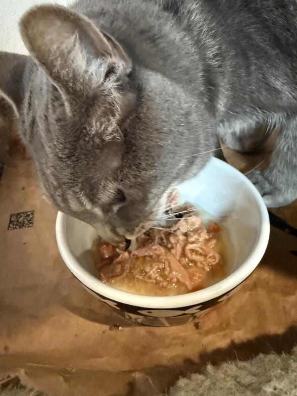 This shows what the food looks like and you can see small pieces of carrots and shredded duck. She ate it all up very quickly.