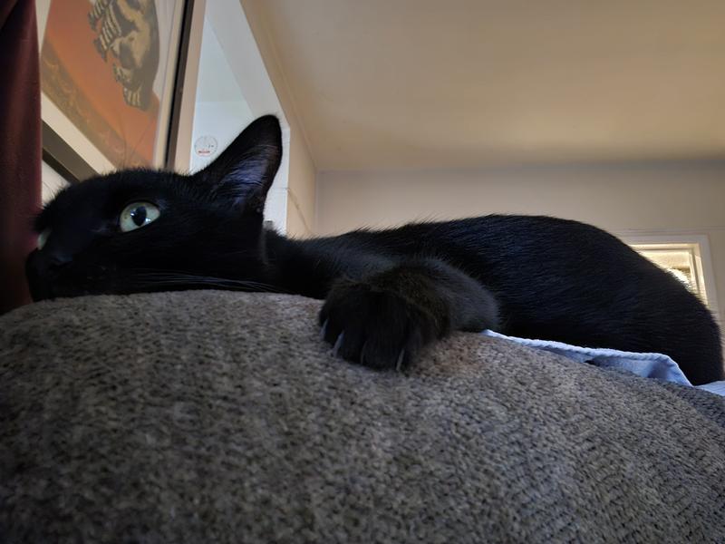 Hartley, the boy who needs the food