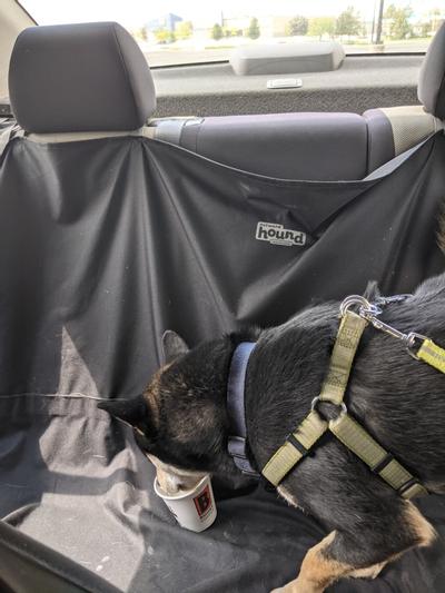 Outward Hound PupShield Back Seat Hammock