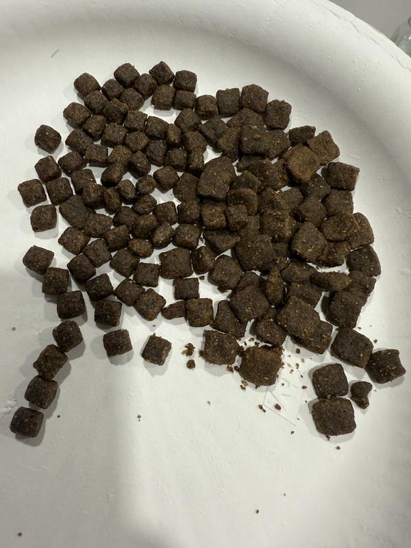 Left is new shape, right is before