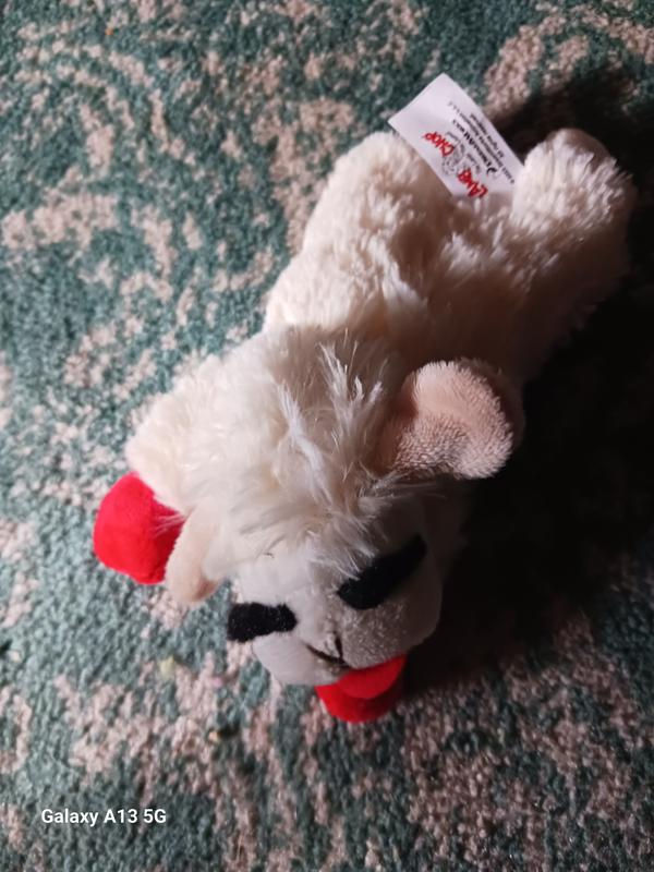 Multipet Lamb Chop Dog Toy, 10 inch Toy