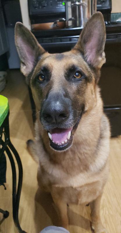 Layla loves her pedicures.