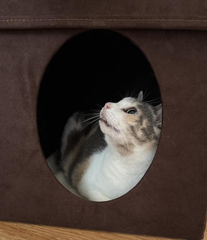 Ooh a dangly toy inside too