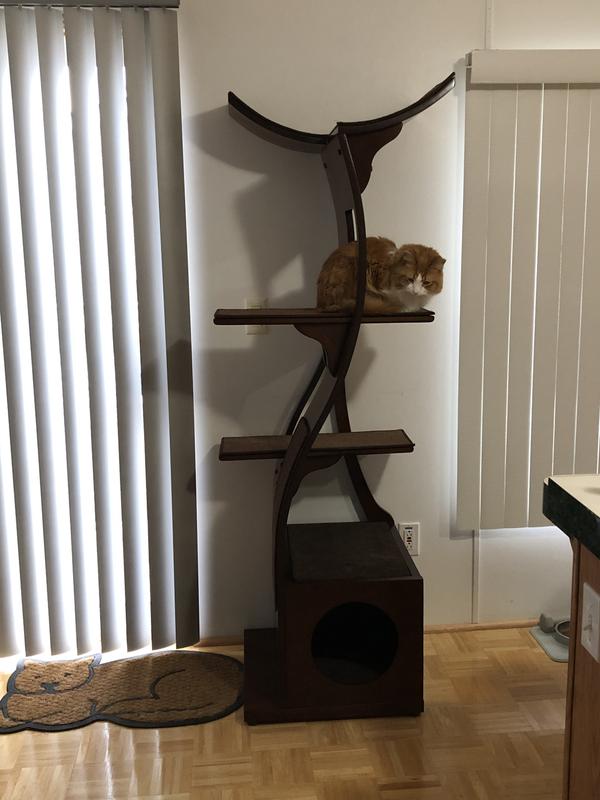 Lotus best sale cat tree