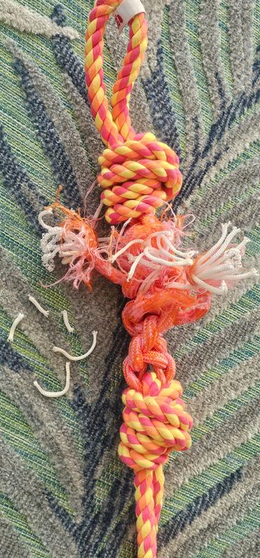 KONG Rope Bunji Dog Toy, Medium - Chewy.com