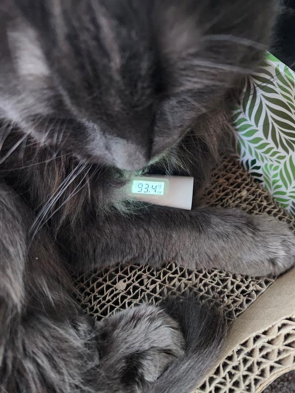 Fear Free Approves Mella Underarm Pet Thermometer For Preferred