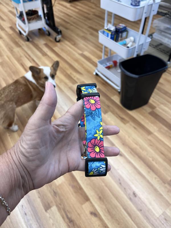 Love the colors so much!