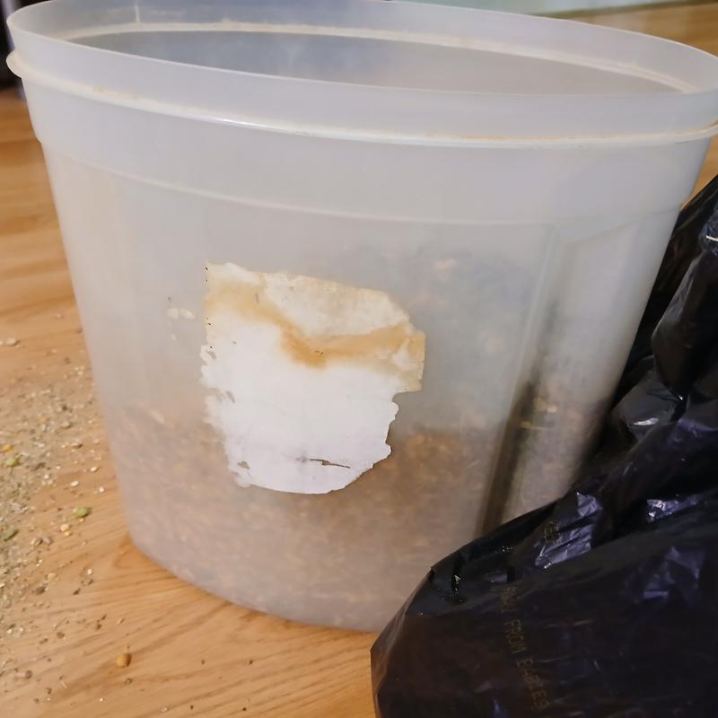 One bag should fill this almost to overflowing.