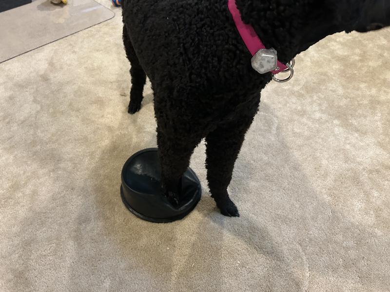 Unfortunately doesn’t hold its shape well enough when used that way