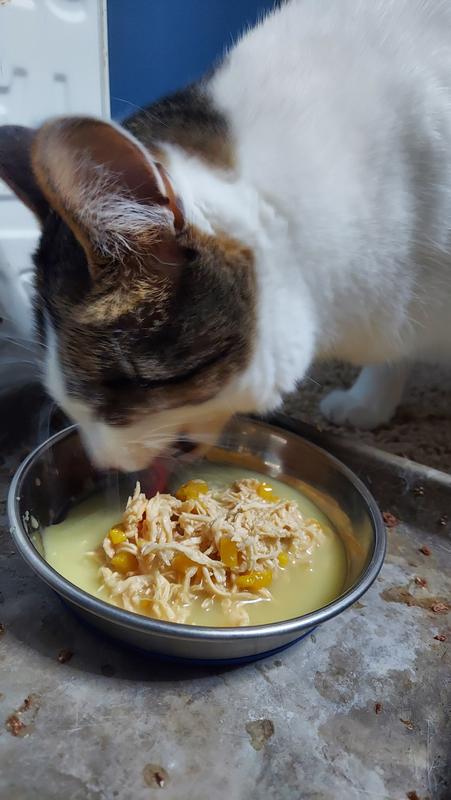 Absolutely loving the broth!