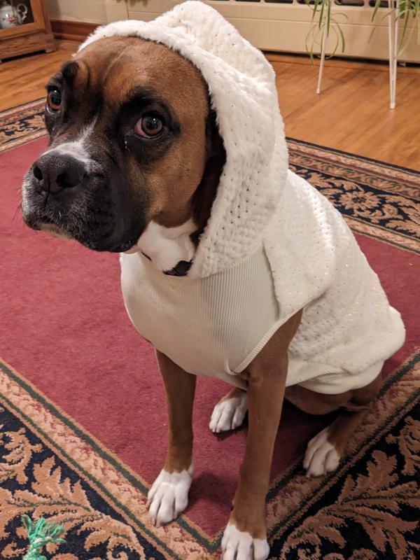 Frisco Plush Fur Dog & Cat Hoodie