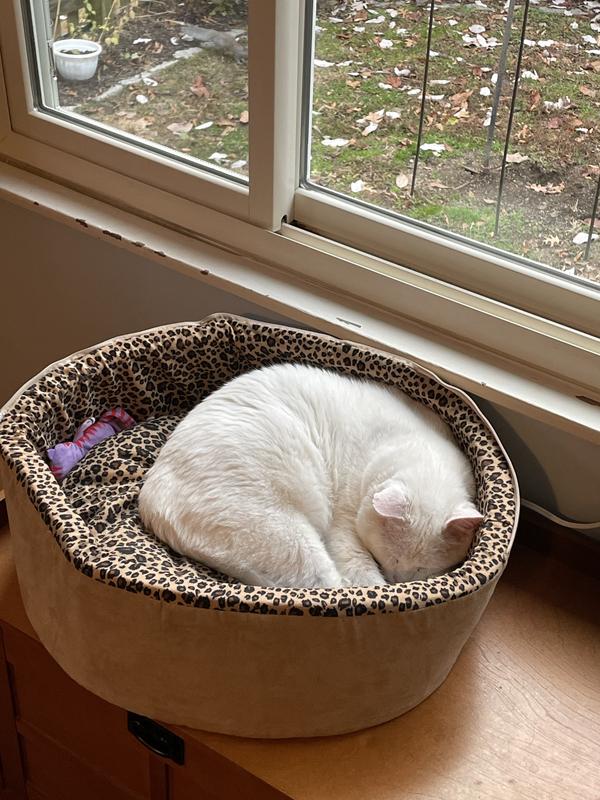 K&H PET PRODUCTS ThermoKitty Bed Deluxe Indoor Heated Cat Bed, Mocha