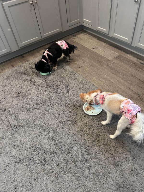 Dinner time with Ashley and cinnamon