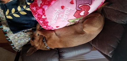 ate too much !!, time for a nap