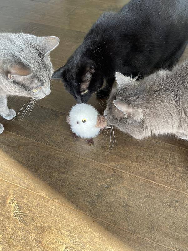 Everyone is super interested!