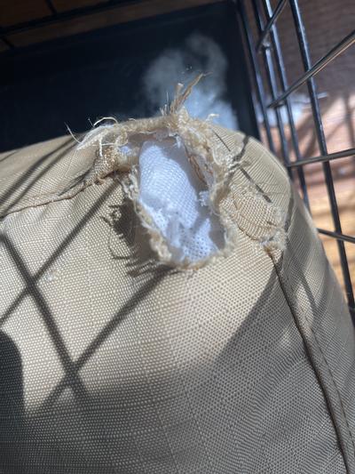 Carolina Pet Brutus Tuff Chew Resistant Pillow Dog Bed with Removable Cover