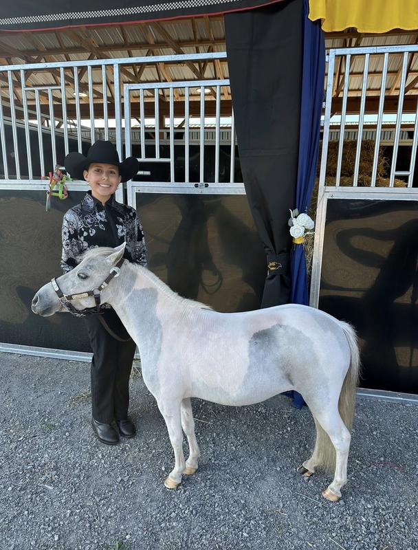 before the show ring groom