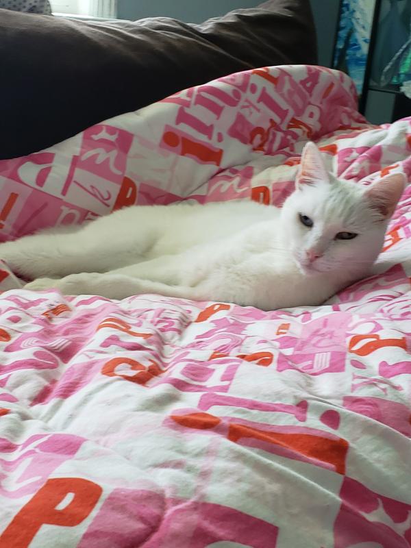 Full belly and sleepy