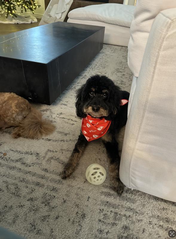 very happy with her ball