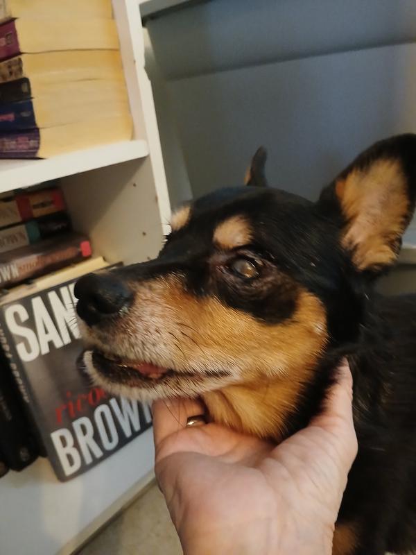 He's 14.  Each day is a blessing that he's still with me.