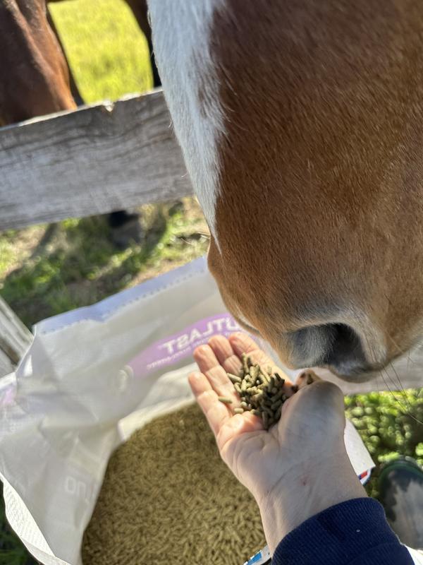 It's Hoof's Up From Savannah, Sedona & Sierra